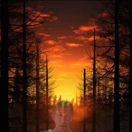 ���� ������, ��������, 42 ���� - ��������� 16 ������ 2026