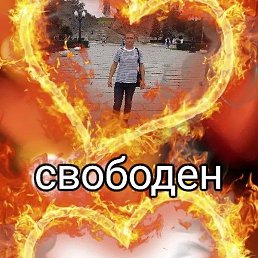 ������, ������, 46 ���