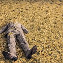���� �����, �������������, 41 ��� - ��������� 8 ������ 2025 � ������ ������ ��������