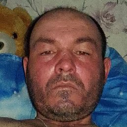 ������ �������, �������, 39 ���