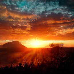 Rainman, ���������, 38 ���