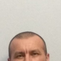 ������, 44 ����, �������