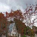 ���� ���������, ��������, 63 ���� - ��������� 25 ������ 2025