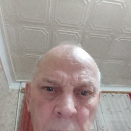 , 58 , 