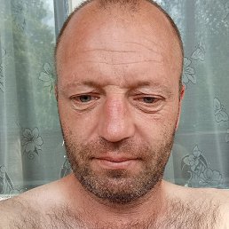 ������, �����, 43 ����