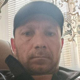 �����, ������, 41 ���