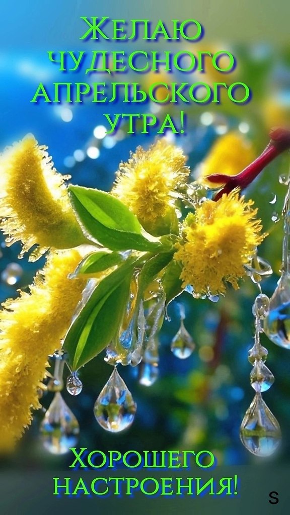   ,    . - 12  2024  23:06