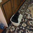 ���� �����, ����������� - ��������� 25 ������ 2025 � ������ ������ ��������