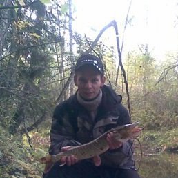 �����, ������, 48 ���