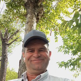 , 54, 