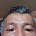 ���� �����, ������, 51 ��� - ��������� 14 ����� 2025 � ������ ���� ����������