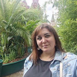 ���� ���������, ����, 40 ��� - ��������� 28 ������� 2026