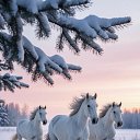 ���� �����, ����������� - ��������� 9 ������ 2026