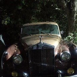 ���� �������, ������, 53 ���� - ��������� 31 ������� 2023