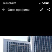 �����, 41 ���, �������