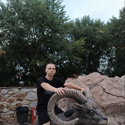 , 19 , 