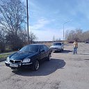���� ������, �����, 49 ��� - ��������� 14 ��� 2024 � ������ ���� ����������