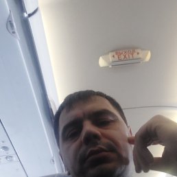 ������, �����������, 35 ���