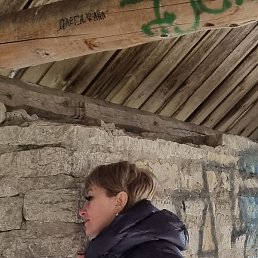 �������, �����-���������, 51 ���