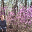 ���� ��������, �����������, 37 ��� - ��������� 17 ��� 2025 � ������ ���� ����������