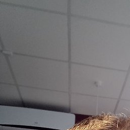 ���������, ������, 53 ����