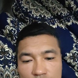 , 33, 