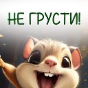 ���� ��������� ( ��������), ������� - ��������� 29 ������ 2024 � ������ ������ ��������