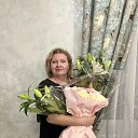 ���� ��������, ������� - ��������� 15 ����� 2026 � ������ ���� ����������
