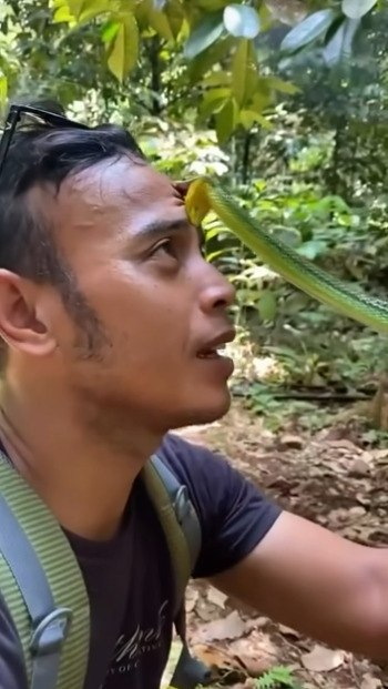 cpea c e! ape  ec pe po ceoc  paccope e oe.  a e, o, ... - 2