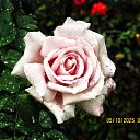 ���� ������, ��������� - ��������� 5 ������� 2025 � ������ ������ �� �����