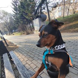 �.�., �����������