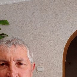 , 56, 