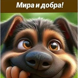 ��� ����, ������