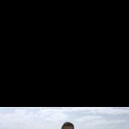 ����, 55 ���, ������