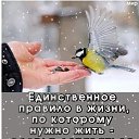 ���� *�����*, ����� - ��������� 22 ������ 2026 � ������ ������ ��������