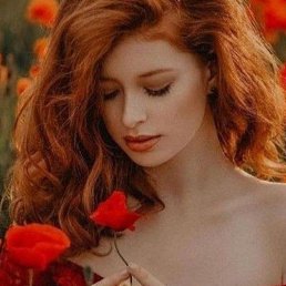 ���� �������, ���������, 48 ��� - ��������� 16 ������� 2023