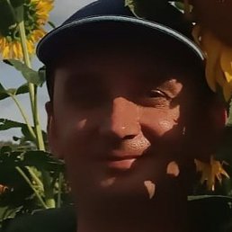 Shurik, ������, 44 ����