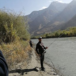 �����, �������, 62 ����