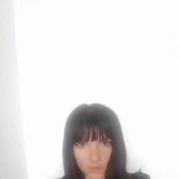���� �����, �����������, 41 ��� - ��������� 2 ������� 2024