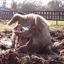 ���� ����, ������, 59 ��� - ��������� 25 ���� 2024 � ������ ���� ����������