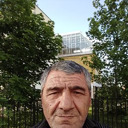 , 61 , 