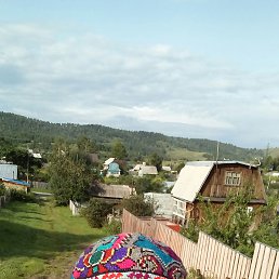 ������, 58 ���, �����