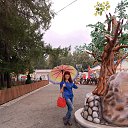 ���� ���, �����-���������, 65 ��� - ��������� 6 ������ 2024