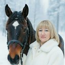 ���� Elen, ������ - ��������� 7 ������ 2026