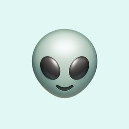 �������, �����-���������, 48 ���