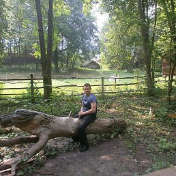 ��������, ������ ��������, 51 ���