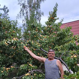 ��������, 63 ����, �����-���������