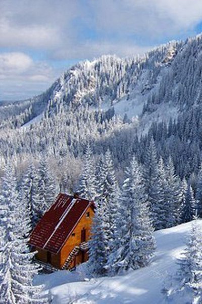 Изведать то, чего не ведал сроду, Глазами, ртом и кожей пить простор... Кто в океане видит только ...