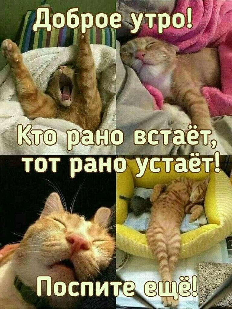  ... - 5  2025  08:44