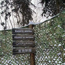 ���� ������� ��������, ������, 43 ���� - ��������� 13 ������ 2026